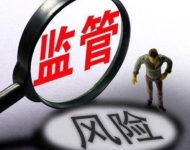 稅務(wù)風(fēng)險管家